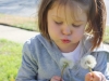 Look Mama! Two Wishes In The Yard - Day 11
