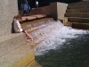 Las Colinas - Day 79