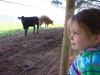 Checking out the new neighbors - Day 91