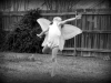 "The butterfly counts not months but moments, and has time enough." ~ Rabindranath Tagore, Day 30