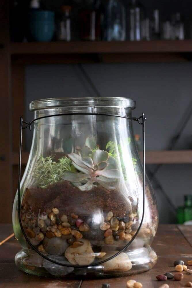 how-to-make-succulent-terrarium1