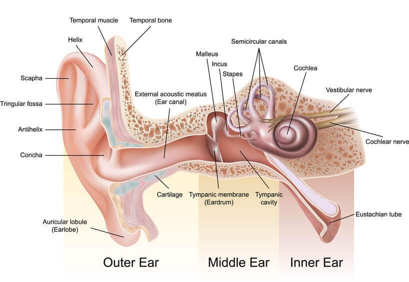 What causes ear pain aside from infections?