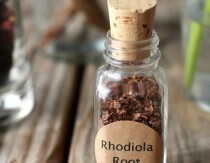 9k stamina how get to Adrenal Support to Adaptogens The Guide Beginner's for