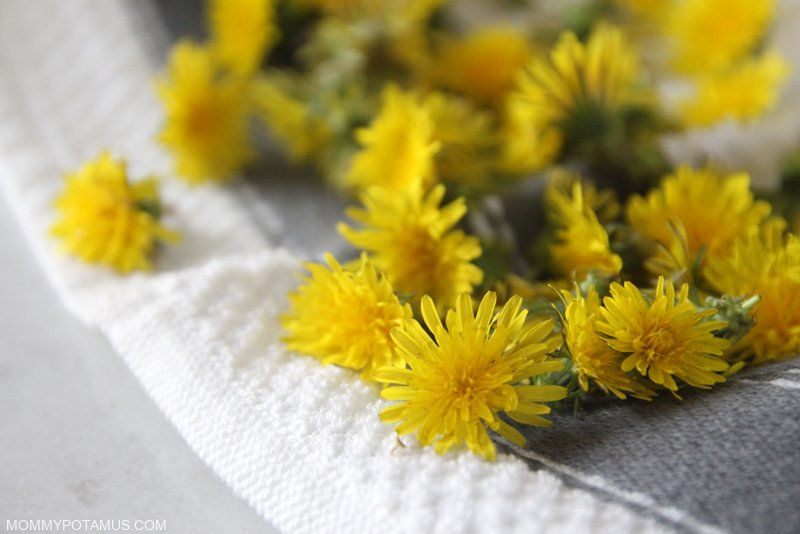 How To Make Dandelion Oil And 5 Ways To Use It