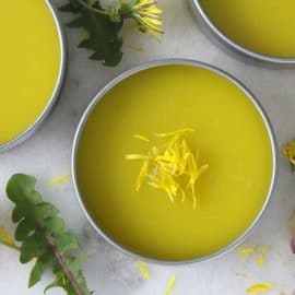 Homemade Dandelion Salve Recipe